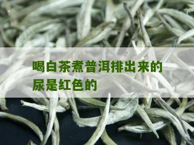 喝白茶煮普洱排出来的尿是红色的