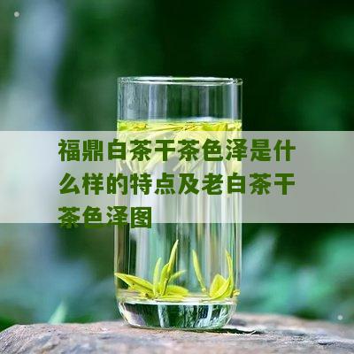 福鼎白茶干茶色泽是什么样的特点及老白茶干茶色泽图