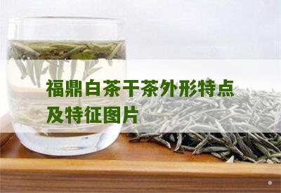 福鼎白茶干茶外形特点及特征图片