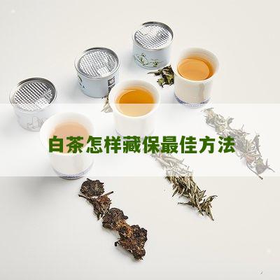 白茶怎样藏保最佳方法