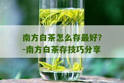 南方白茶怎么存最好？-南方白茶存技巧分享