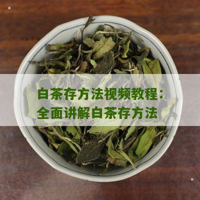 白茶存方法视频教程：全面讲解白茶存方法