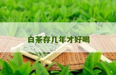 白茶存几年才好喝