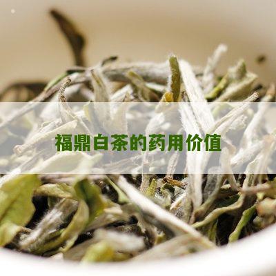 福鼎白茶的药用价值