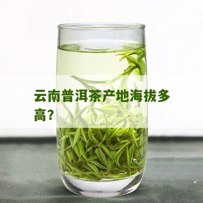 云南普洱茶产地海拔多高？