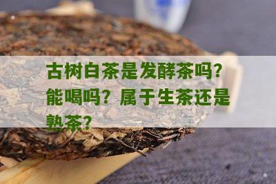 古树白茶是发酵茶吗？能喝吗？属于生茶还是熟茶？