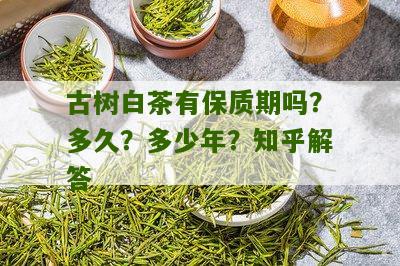 古树白茶有保质期吗？多久？多少年？知乎解答