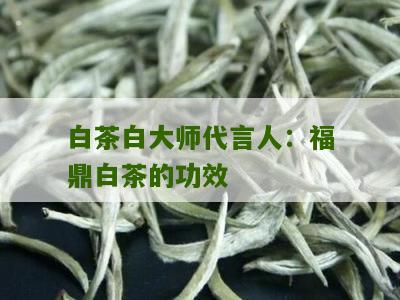 白茶白大师代言人：福鼎白茶的功效