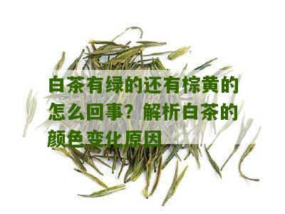 白茶有绿的还有棕黄的怎么回事？解析白茶的颜色变化原因