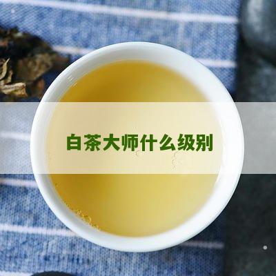 白茶大师什么级别