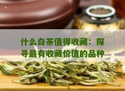 什么白茶值得收藏：探寻最有收藏价值的品种