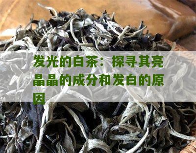 发光的白茶：探寻其亮晶晶的成分和发白的原因