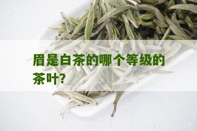 眉是白茶的哪个等级的茶叶？