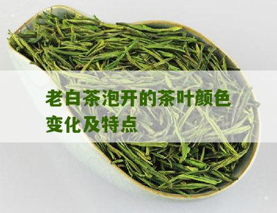 老白茶泡开的茶叶颜色变化及特点