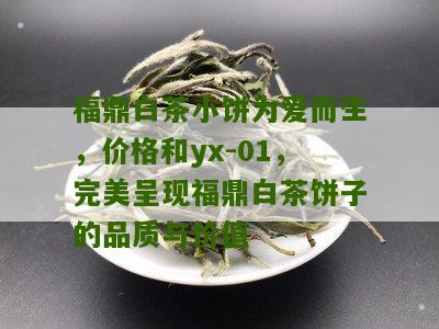 福鼎白茶小饼为爱而生，价格和yx-01，完美呈现福鼎白茶饼子的品质与价值