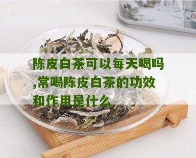 陈皮白茶可以每天喝吗,常喝陈皮白茶的功效和作用是什么