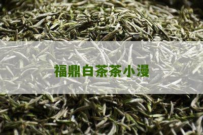 福鼎白茶茶小漫