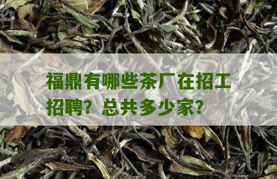 福鼎有哪些茶厂在招工招聘？总共多少家？