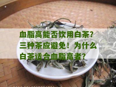 血脂高能否饮用白茶？三种茶应避免！为什么白茶适合血脂高者？