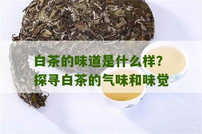 白茶的味道是什么样？探寻白茶的气味和味觉