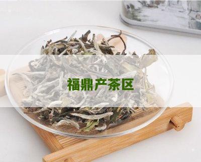 福鼎产茶区