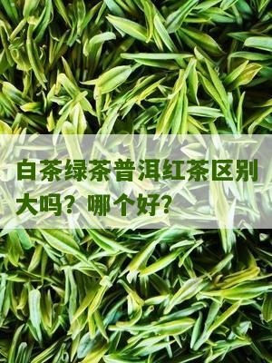 白茶绿茶普洱红茶区别大吗？哪个好？