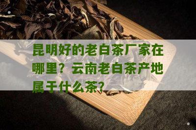 昆明好的老白茶厂家在哪里？云南老白茶产地属于什么茶？