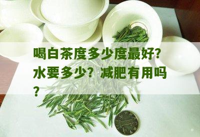 喝白茶度多少度最好？水要多少？减肥有用吗？