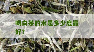 喝白茶的水是多少度最好？