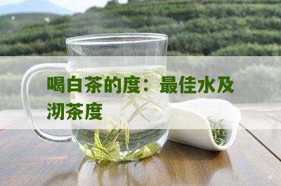 喝白茶的度：最佳水及沏茶度