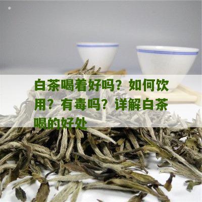 白茶喝着好吗？如何饮用？有毒吗？详解白茶喝的好处