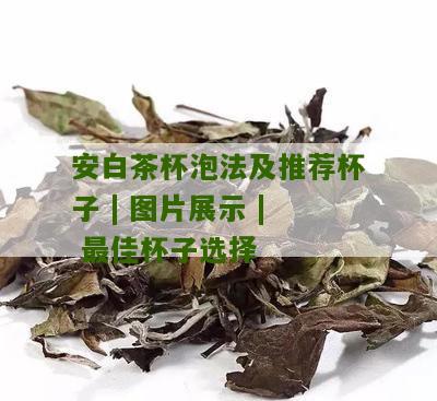 安白茶杯泡法及推荐杯子 | 图片展示 | 最佳杯子选择