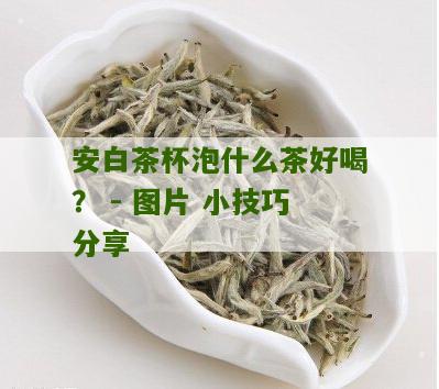 安白茶杯泡什么茶好喝？ - 图片 小技巧分享