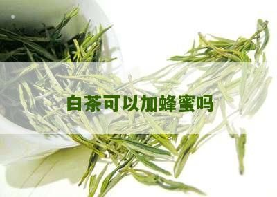 白茶可以加蜂蜜吗