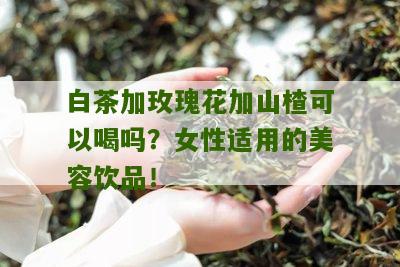 白茶加玫瑰花加山楂可以喝吗？女性适用的美容饮品！