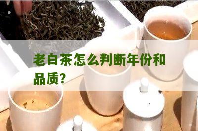 老白茶怎么判断年份和品质？