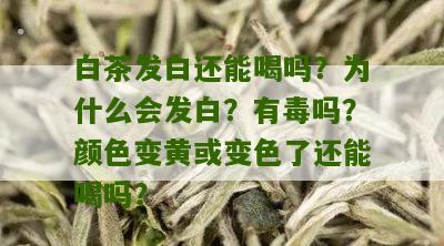 白茶发白还能喝吗？为什么会发白？有毒吗？颜色变黄或变色了还能喝吗？