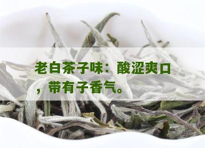 老白茶子味：酸涩爽口，带有子香气。