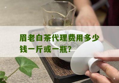 眉老白茶代理费用多少钱一斤或一瓶？