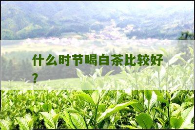 什么时节喝白茶比较好？