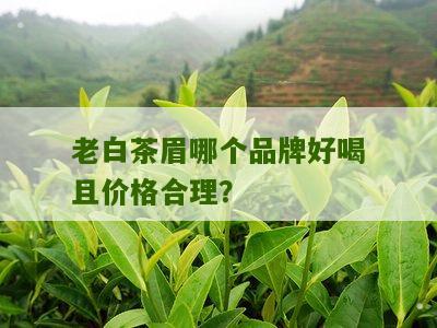 老白茶眉哪个品牌好喝且价格合理？