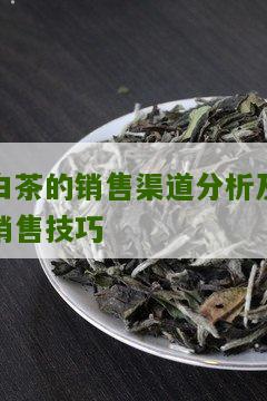 白茶的销售渠道分析及销售技巧