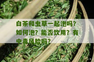 白茶和虫草一起泡吗？如何泡？能否饮用？有中毒风险吗？