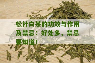 松针白茶的功效与作用及禁忌：好处多，禁忌要知道！