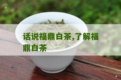 话说福鼎白茶,了解福鼎白茶