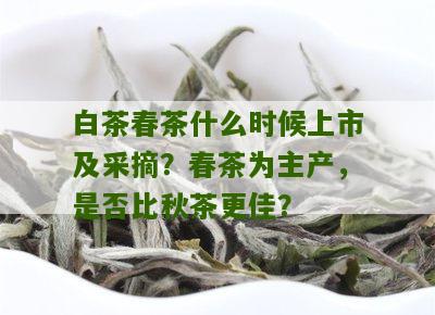 白茶春茶什么时候上市及采摘？春茶为主产，是否比秋茶更佳？