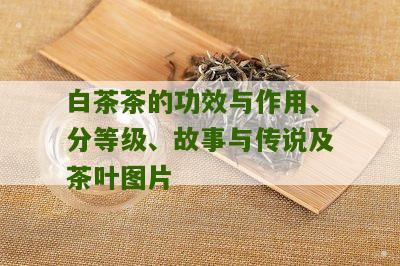 白茶茶的功效与作用、分等级、故事与传说及茶叶图片