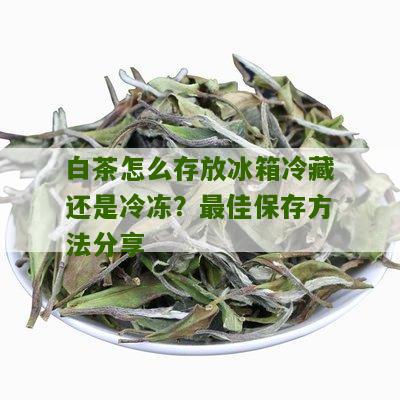 白茶怎么存放冰箱冷藏还是冷冻？最佳保存方法分享