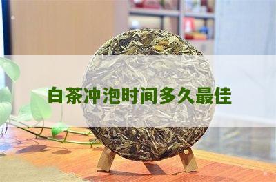 白茶冲泡时间多久最佳