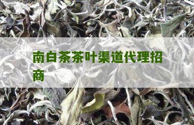 南白茶茶叶渠道代理招商